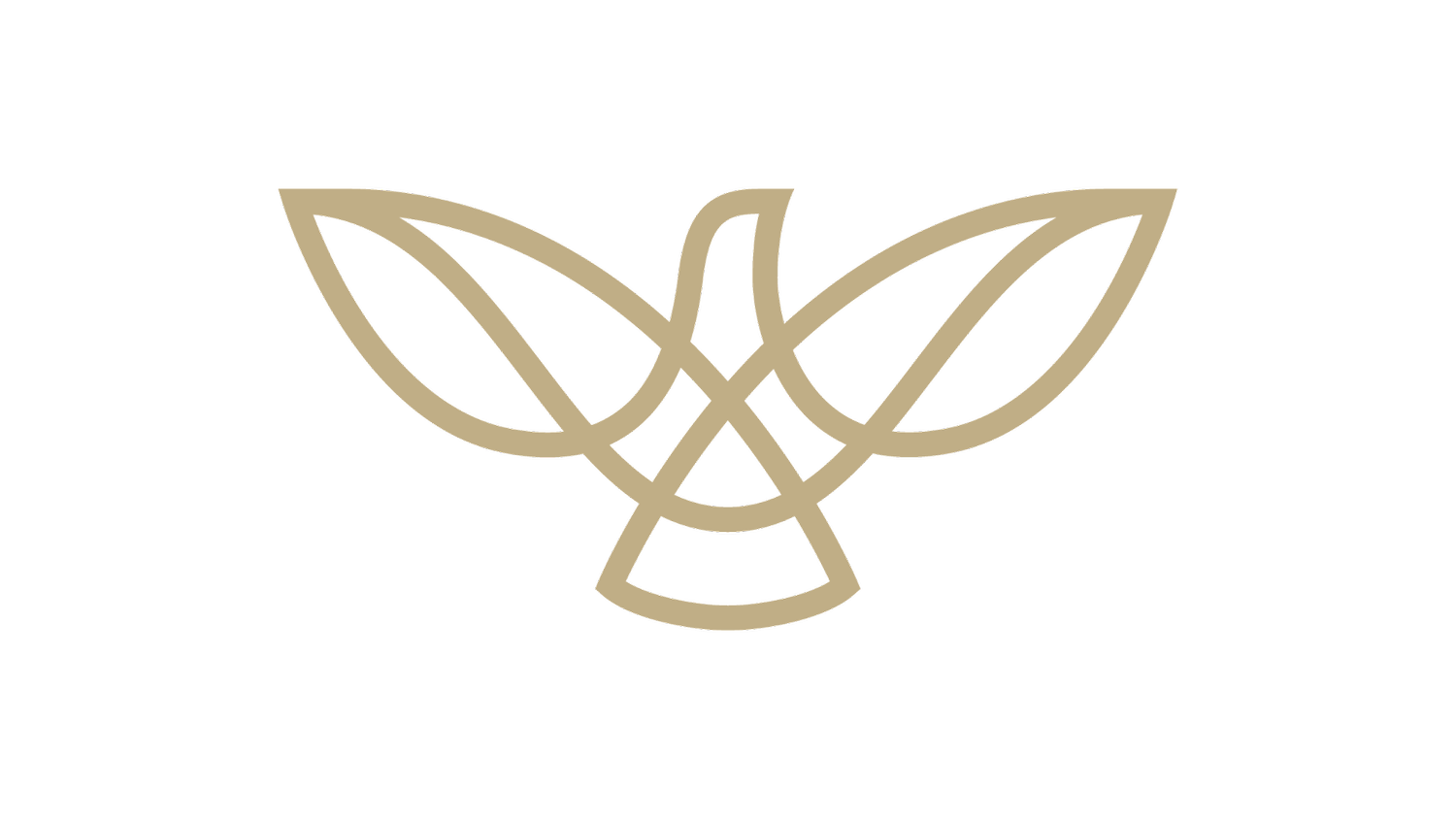 DDI